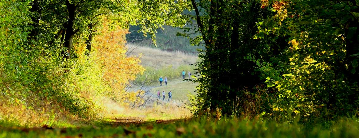 Wandern in Boos