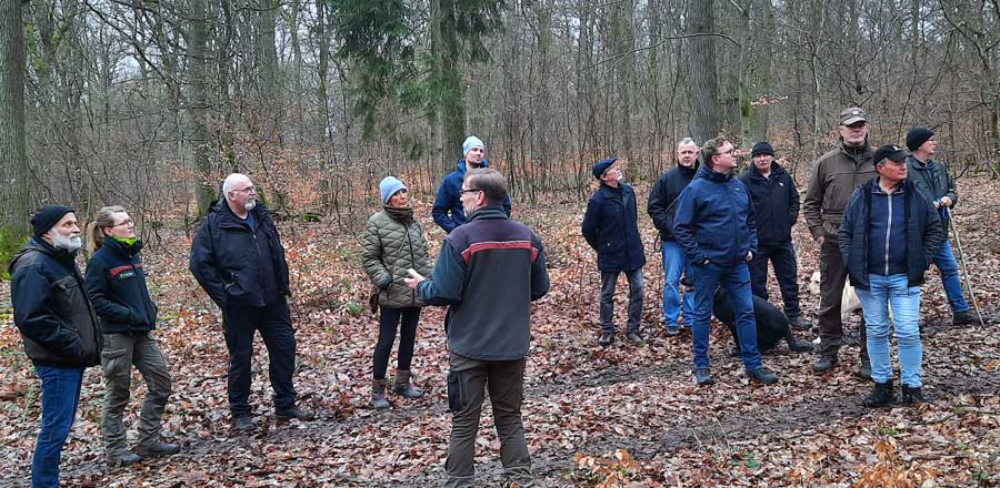 Waldbegang im Booser Gemeindewald