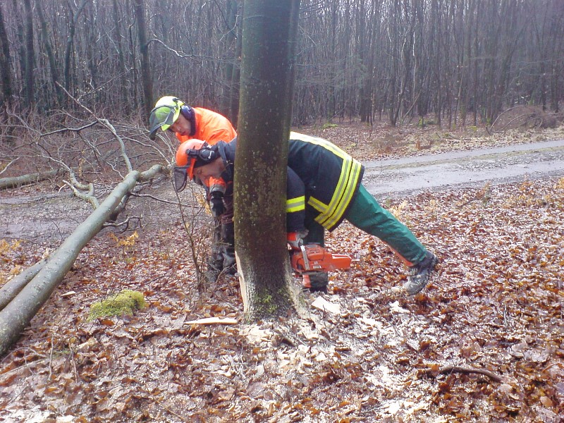 bild_2